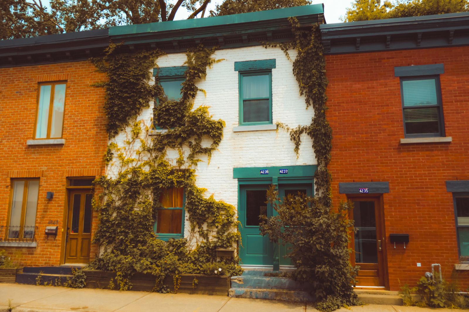 Brick row homes on a tree-lined Philadelphia street